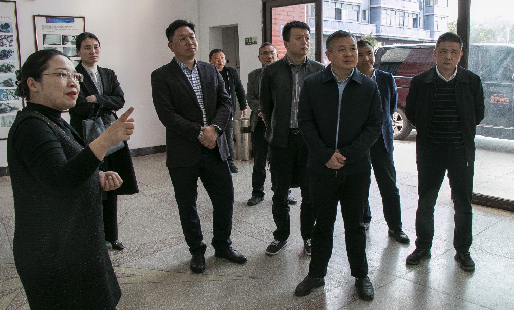 Zhou Wanhui, Deputy Secretary of the CPC Gao'an Municipal Committee and Mayor, visited Ketai Advanced Materials